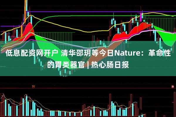 低息配资网开户 清华邵玥等今日Nature：革命性的胃类器官 | 热心肠日报