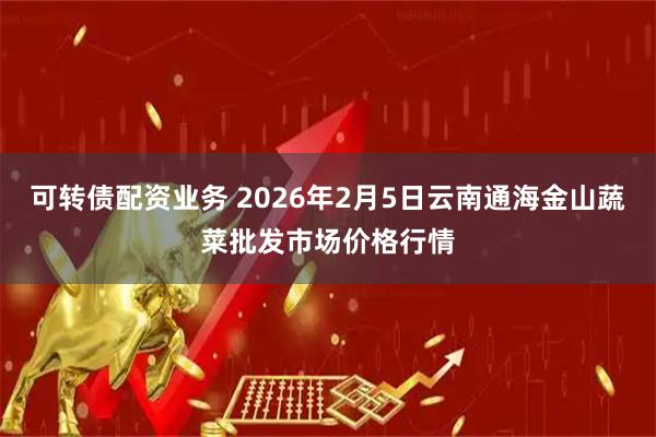 可转债配资业务 2026年2月5日云南通海金山蔬菜批发市场价格行情